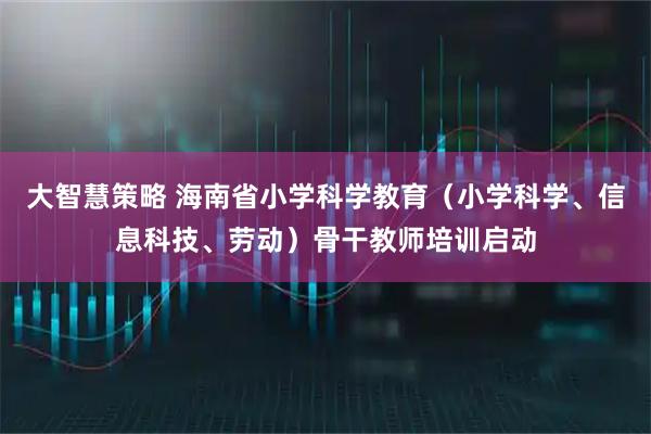 大智慧策略 海南省小学科学教育（小学科学、信息科技、劳动）骨干教师培训启动